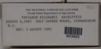 Image Associated With the Occurence